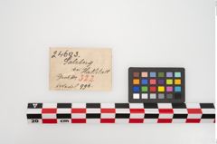 Etikett zu Bronzemehrkopfnadel (NHMW-PRAE-024693)